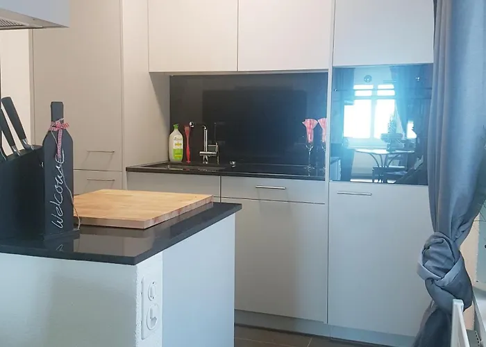 Grande With Kitchen Dish Washer, Dryer Washer * Zürich