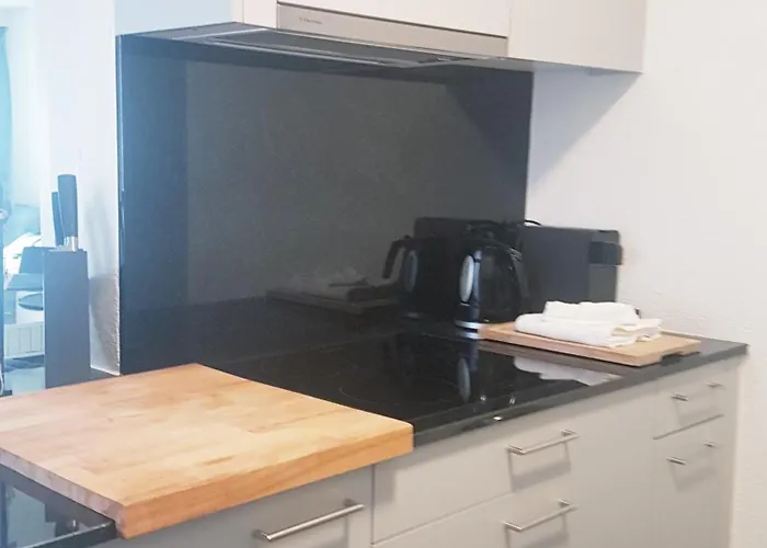 Grande With Kitchen Dish Washer, Dryer Washer 苏黎世